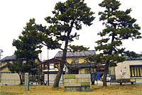 公園