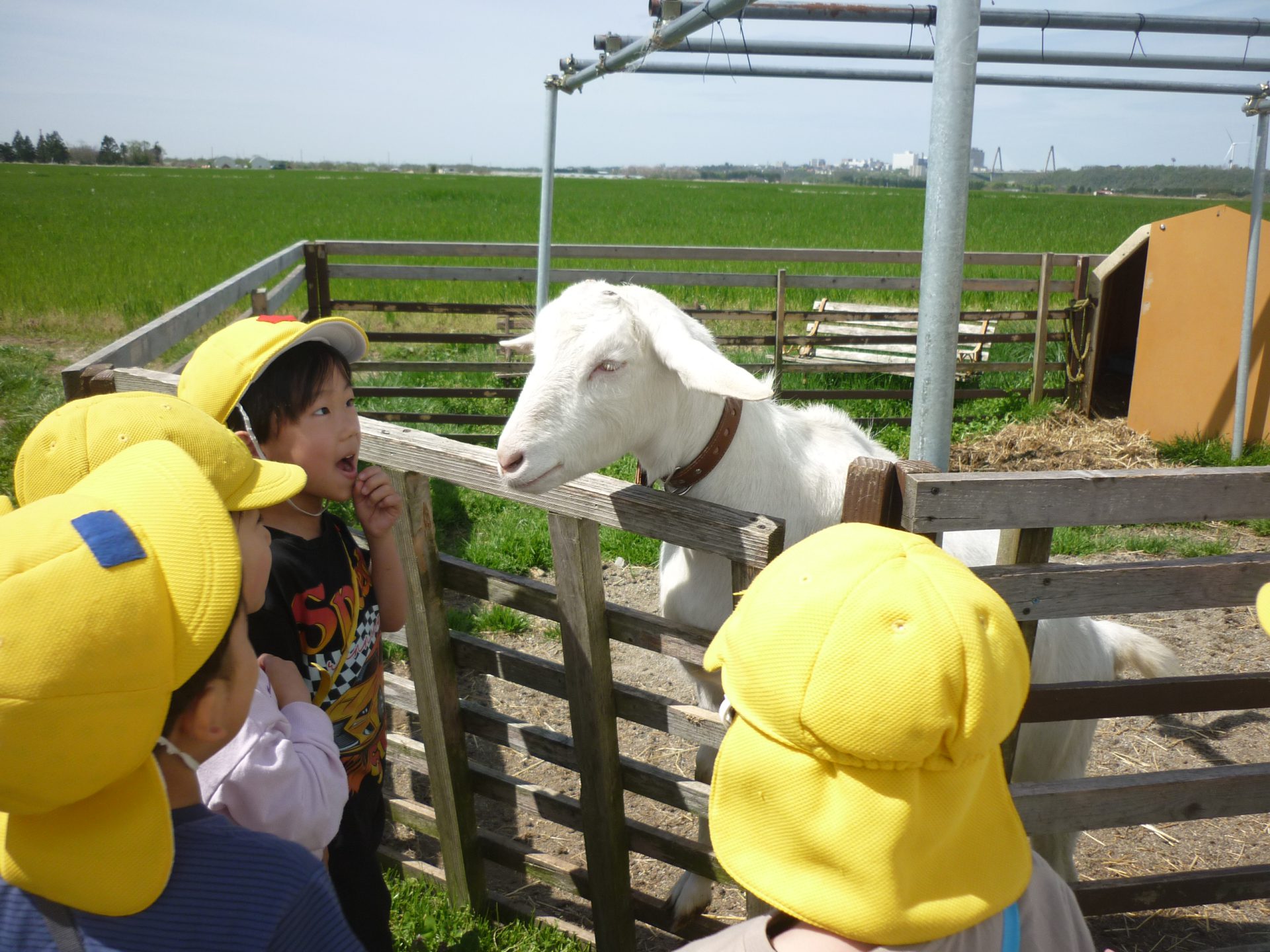 ワクワクいっぱい♪ホリ牧場での一日